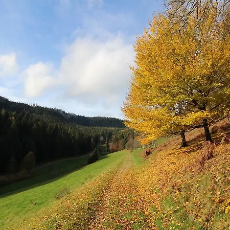 Bed & Breakfast Enztalperle