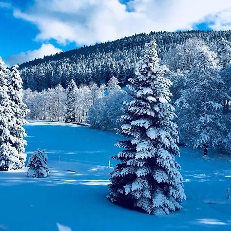 Enztalperle Bed & Breakfast Enzklosterle